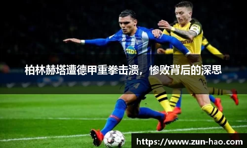 zoty中欧体育