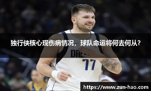 中欧体育官网
