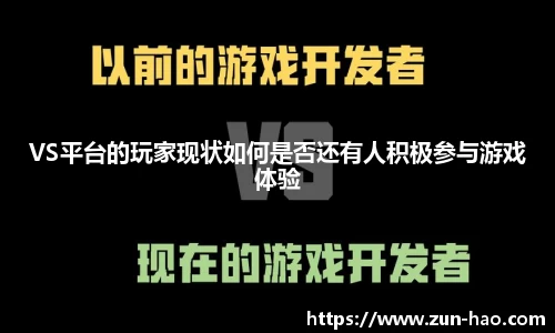 VS平台的玩家现状如何是否还有人积极参与游戏体验