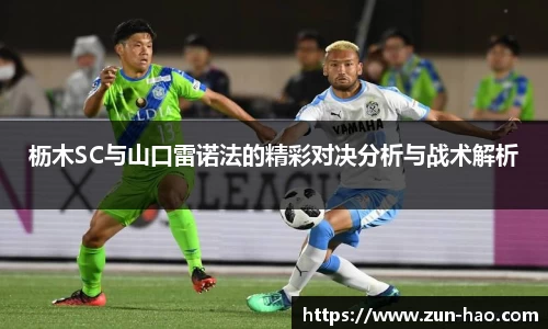 中欧体育官网