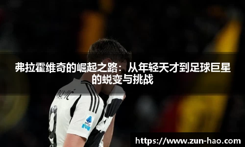 中欧体育官网