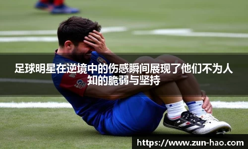 zoty中欧体育